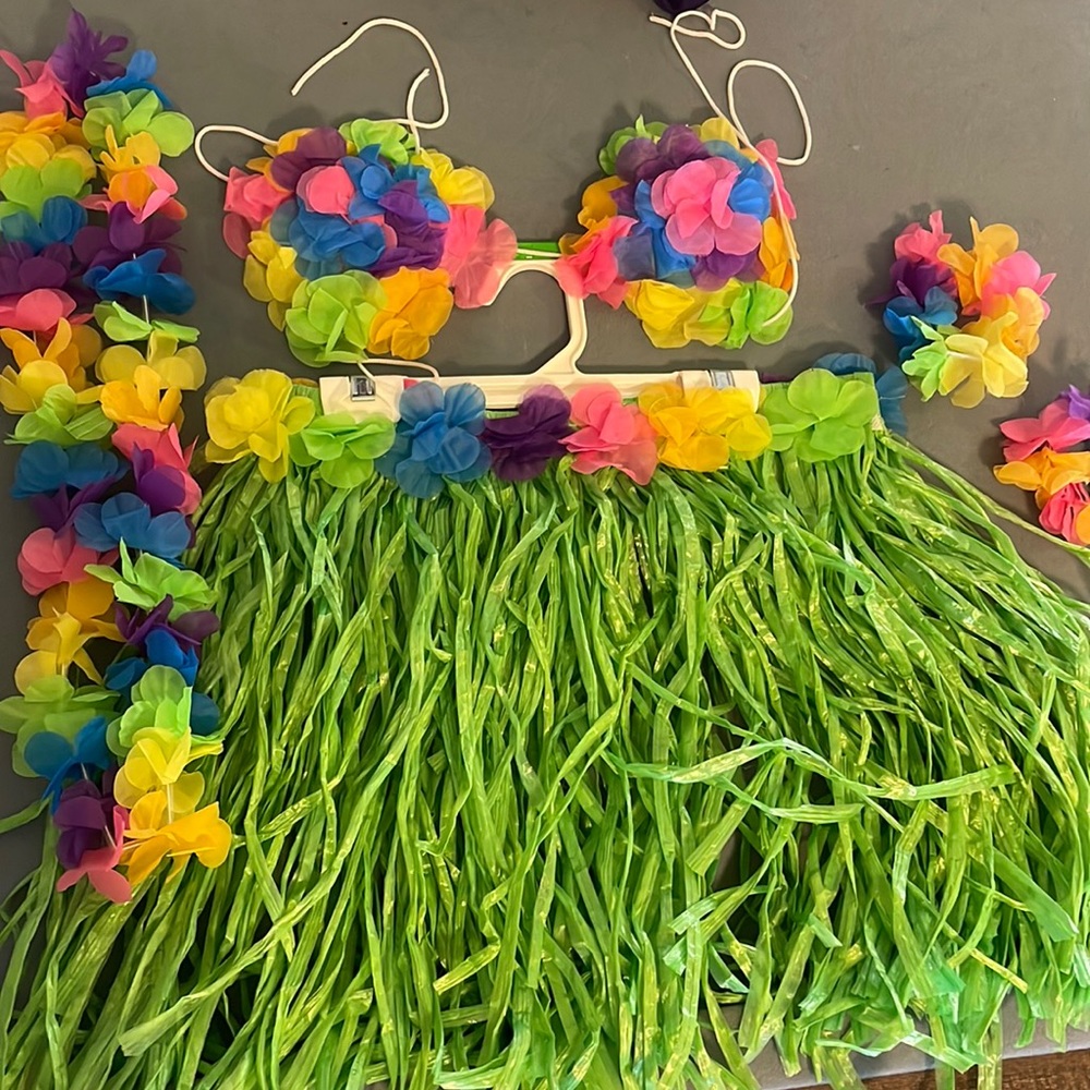 Hula Halloween Costume